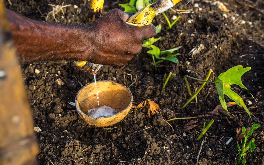 Quand l’agriculture se fait raisonnable