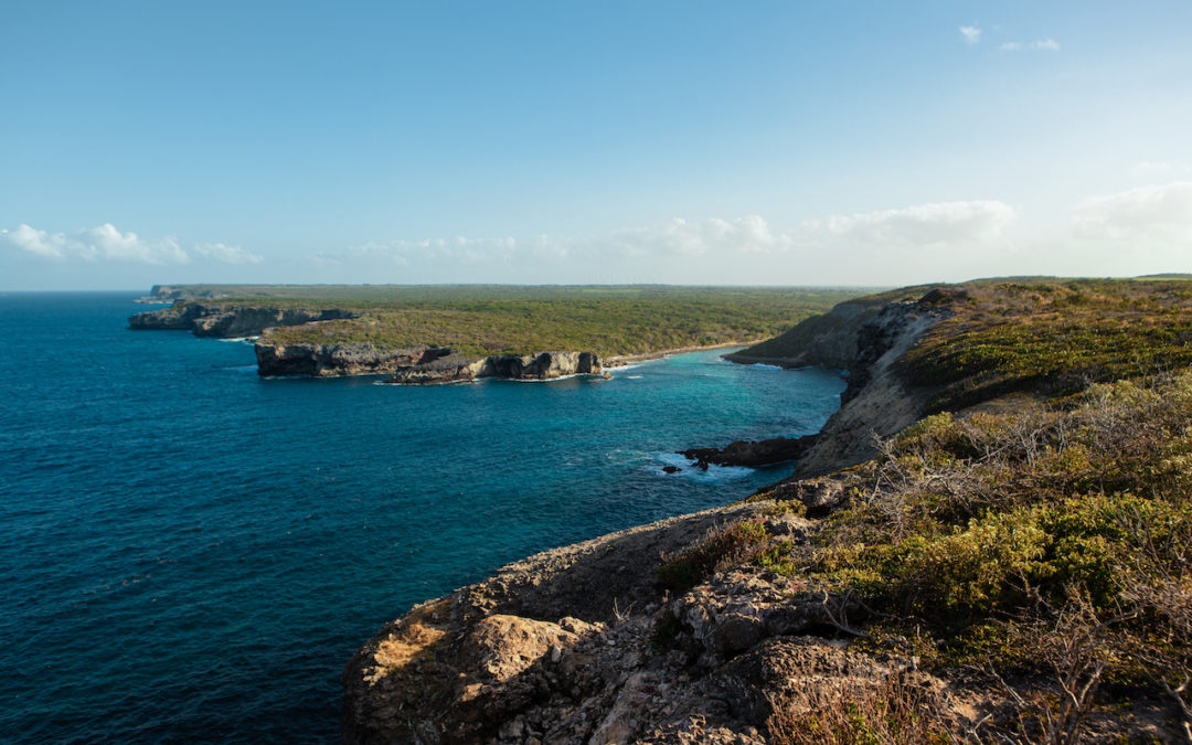 Le Nord Guadeloupe, office de tourisme d’un territoire aux grandes richesses naturelles, culturelles et culinaires